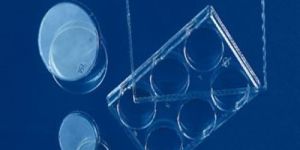 Tissue Culture Dishes