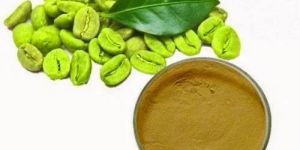 Green Coffee Bean Extract Powder