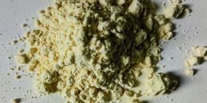 Jackfruit Seed Powder