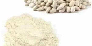 White Kidney Bean Extract Powder