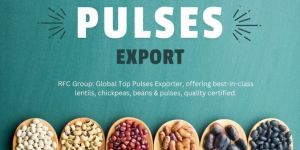 Indian Pulses