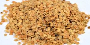 Roasted Coriander Whole Seeds