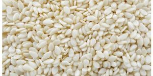 White Sesame Seeds