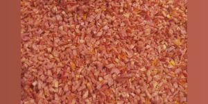 Freeze Dried Carrot Cube