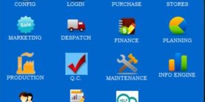 ERP Software Development Service