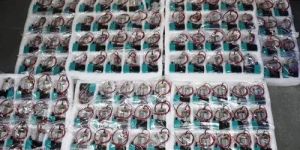 Flex Printing Machine Ink Pump