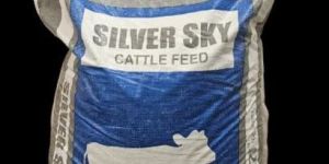 Silver Sky Cattle Feed