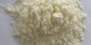 Lactose Powder