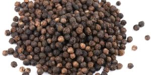 Black Pepper Seed