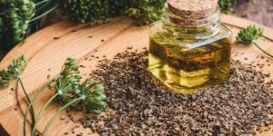 Dill Seed Oil