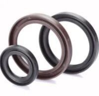 Viton Oil Seal