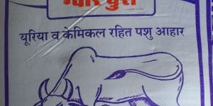 Divyadhara Gwar Churi