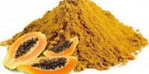 Papaya Powder