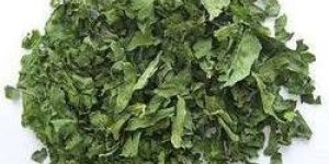 Spinach Leaves