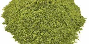 Spinach Leaves Powder