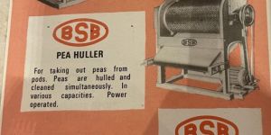 Peas Processing Grading Plant