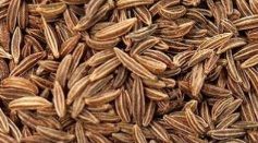 Shahjeera (Caraway) Seeds