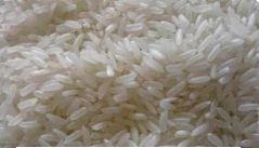 Swarna Rice