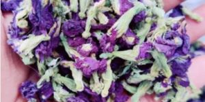 Butterfly Pea Flower