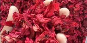 Dried Himalayan Rhododendron Flower