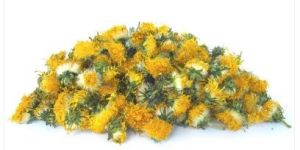 Himalayan Dried Dandelion Flowers