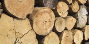 Brown Round Teak Wood Logs
