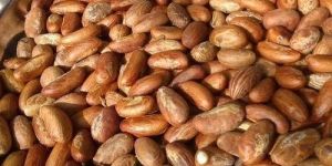 Garcinia Kola Nuts