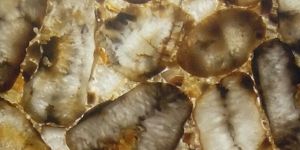 Natural White Gota Semiprecious Stones