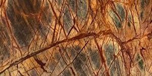 Rainforest Brown Marble