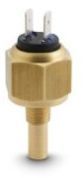 TW010 Brass Thermowell