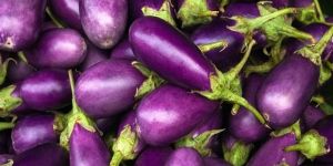 Fresh Eggplant