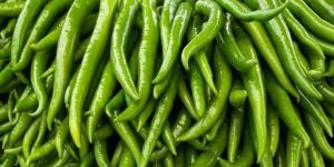 Fresh Green Chilly