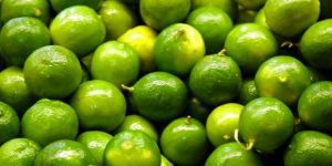 Fresh Lime