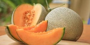 Fresh Musk Melon