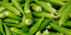 Fresh Okra