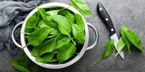Fresh Spinach