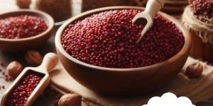 Red Sorghum Millet