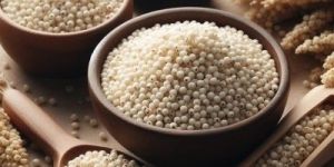 White Millet