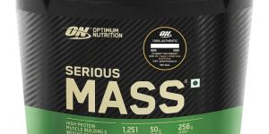 Optimum Nutrition ON Serious Mass Gainer