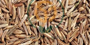Cumin Seeds