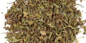 Krishna Tulsi Leaves