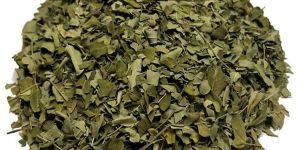 Moringa Leaves