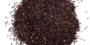 Red Quinoa