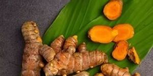 Turmeric Root