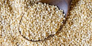Quinoa Seeds