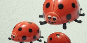 Lady Bug Set