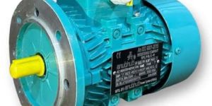 Three Phase Induction Motor