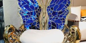 Luxury Matel Butterfly Chair