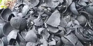 Coconut Shell Charcoal