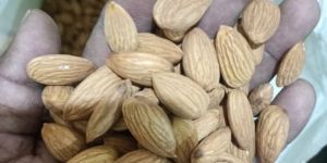 Almond